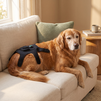 LumaPaw™ Red Light Therapy Wrap for Dogs & Cats